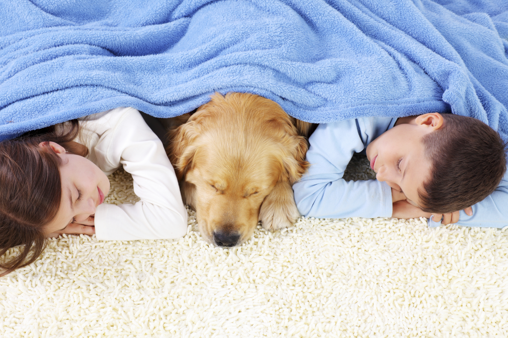 Boy, girl and dog sleeping covered with a blanket.